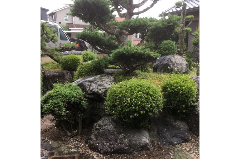 庭石及び庭木撤去作業初日
